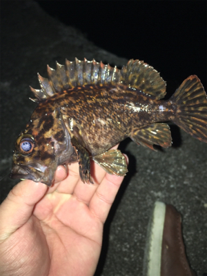 風にも負けず…