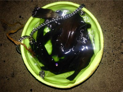 つ抜け逆ギレリベンジ