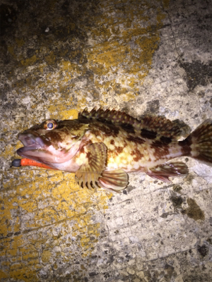 新たにポイント探し！