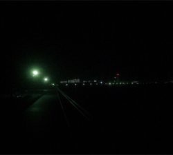 初お持ち帰りFisch