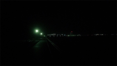 初お持ち帰りFisch