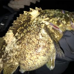 すごいゲスト！