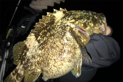 すごいゲスト！