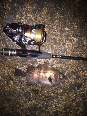 相変わらず渋いが‥。