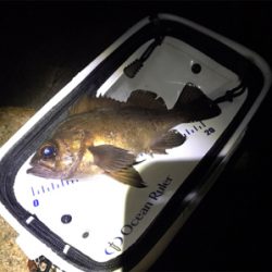 そろそろ上向き？