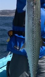 スロージギング