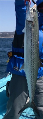 スロージギング