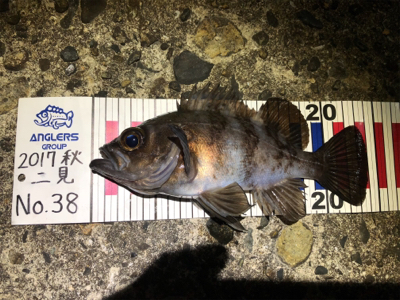 メバルナイトゲーム☆GUNNING-STY…