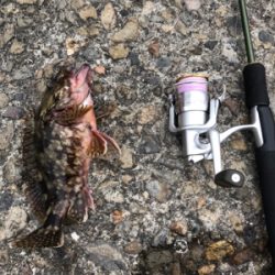 朝1時間弾丸チャレンジ