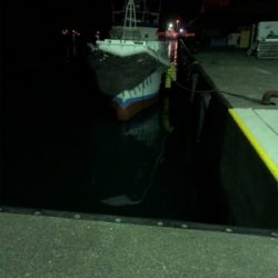 夜中のロックフィッシュ