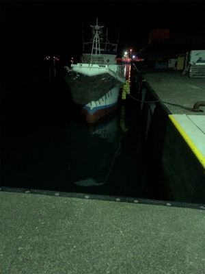 夜中のロックフィッシュ