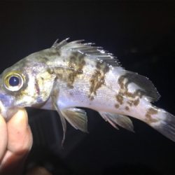 杉田臨海緑地公園