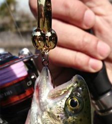 芥川マス釣り場にて♫