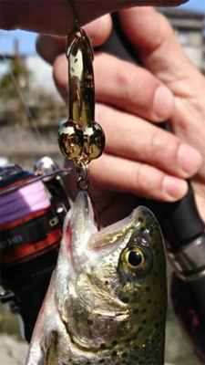 芥川マス釣り場にて♫