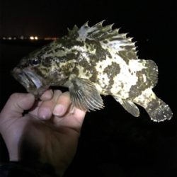 いつもの場所です。