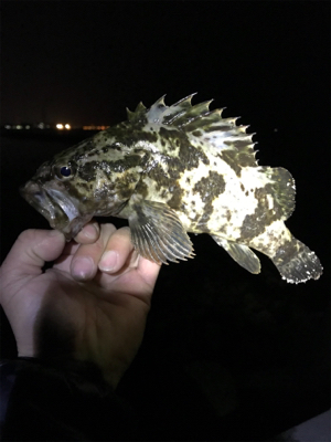 いつもの場所です。