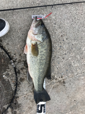 寒いけどシャローにて