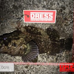 波高く…激渋…