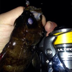 寒さに耐えられず