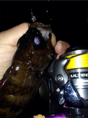 寒さに耐えられず