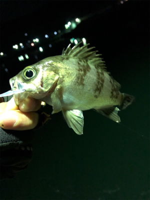 いんふぃにてぃ！