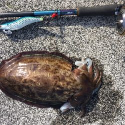 トルネードスピンさん！