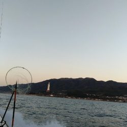 淡路沖メバル釣行