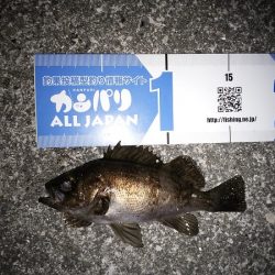 ダブルヘッダー