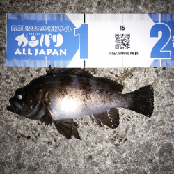 時合がハッキリ