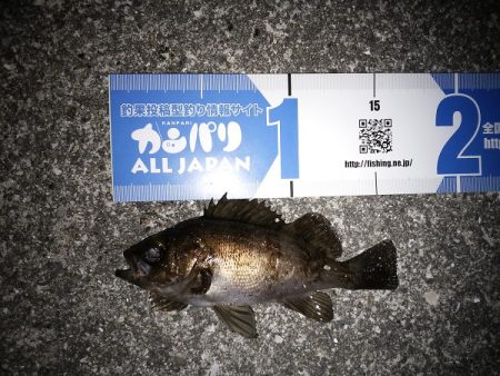 ダブルヘッダー