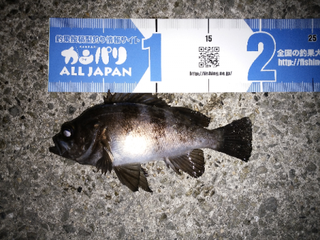 時合がハッキリ