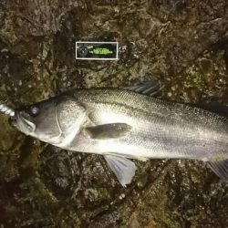 金、銀メダル、おめでとう!