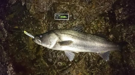 金、銀メダル、おめでとう！