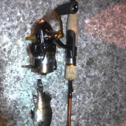 連日のライトゲーム