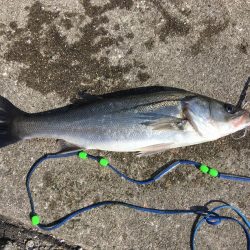 西宮ケーソン入口。