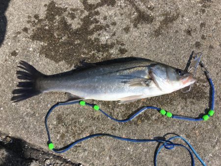 西宮ケーソン入口。