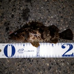 どえらいの風の中でも、どこかに風裏がある