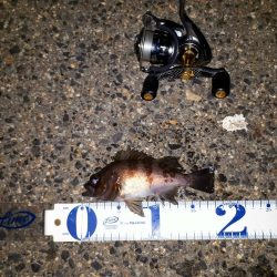 新規ポイントを開拓