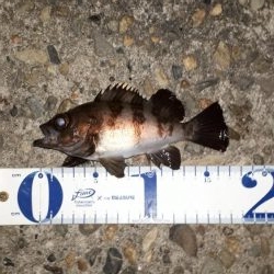 釣りクラブの今年初イベント