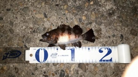 釣りクラブの今年初イベント