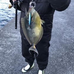 釣りやったーした