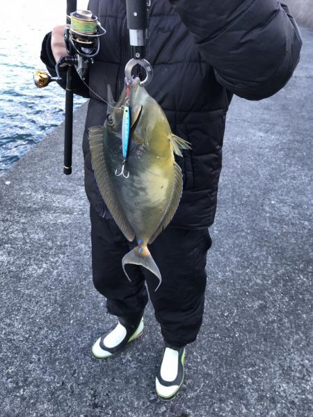 釣りやったーした