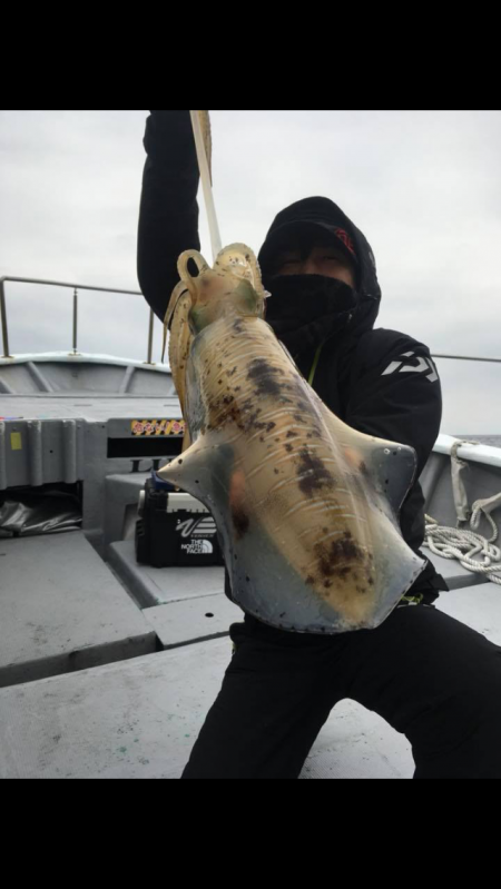 バースデーイカ ゲット