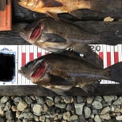 今シーズン最大！