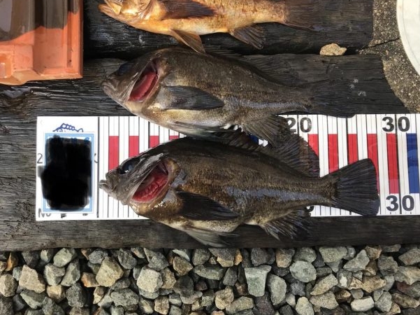 今シーズン最大！