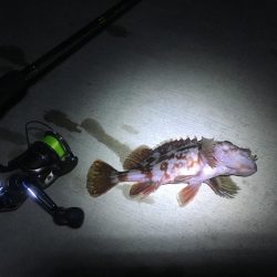 狙い通りの１匹