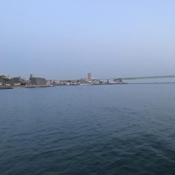 連日のメバリング