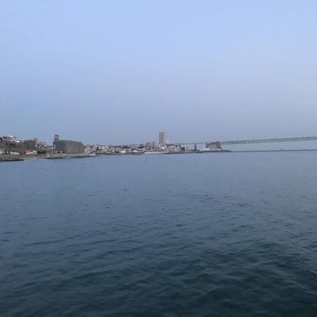 連日のメバリング