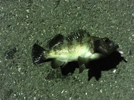 ライトワインド