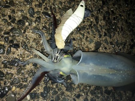 めちゃ寒かった